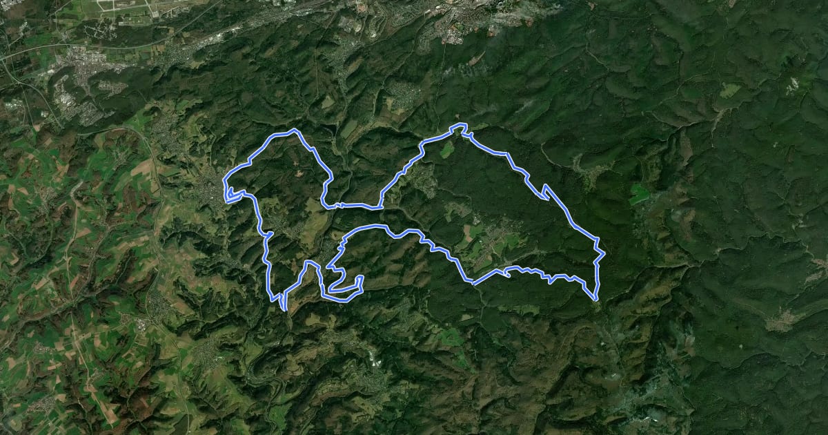 Маршрут MTB-Park Pfälzerwald, Tour 3 на спутниковом снимке