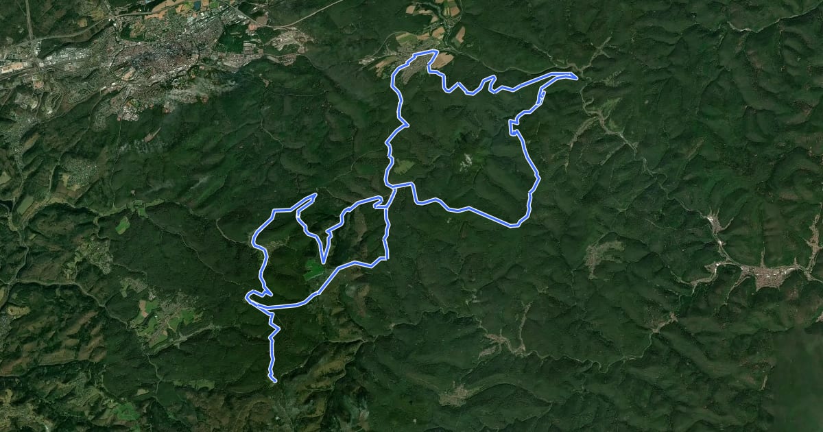 Маршрут MTB-Park Pfälzerwald, Tour 4 на спутниковом снимке