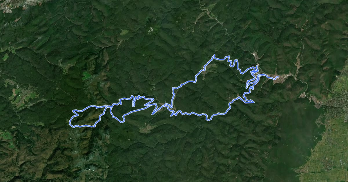 Маршрут MTB-Park Pfälzerwald, Tour 5 на спутниковом снимке