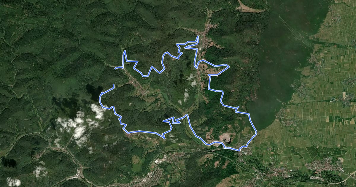 Маршрут MTB-Park Pfälzerwald, Tour 7 на спутниковом снимке