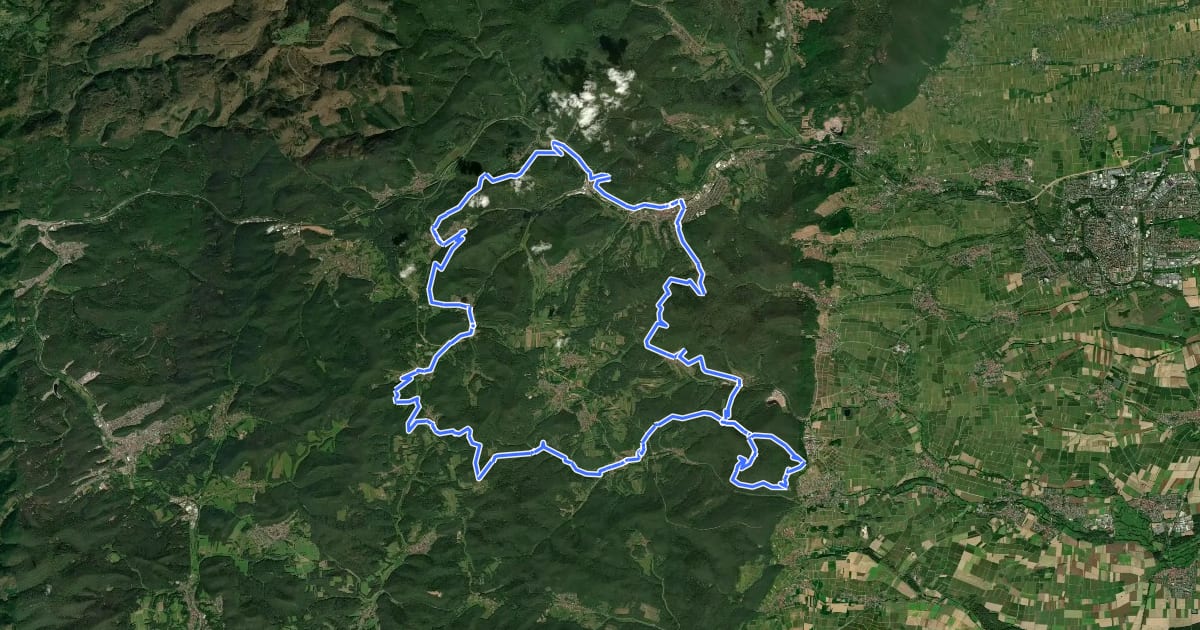 Маршрут MTB-Park Pfälzerwald, Tour 8 на спутниковом снимке