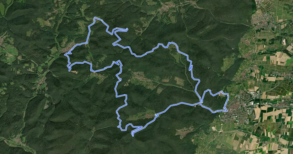 Маршрут MTB-Park Pfälzerwald, Tour 9 на спутниковом снимке