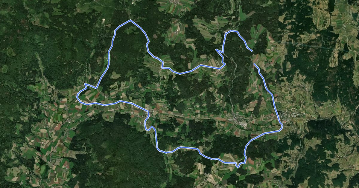 Маршрут MTB Riederberg-Strecke на спутниковом снимке