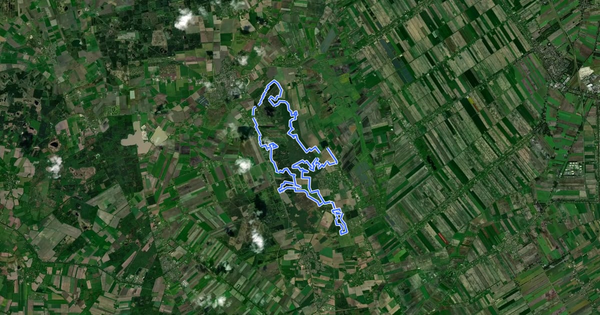 Маршрут MTB-route Exloo на спутниковом снимке