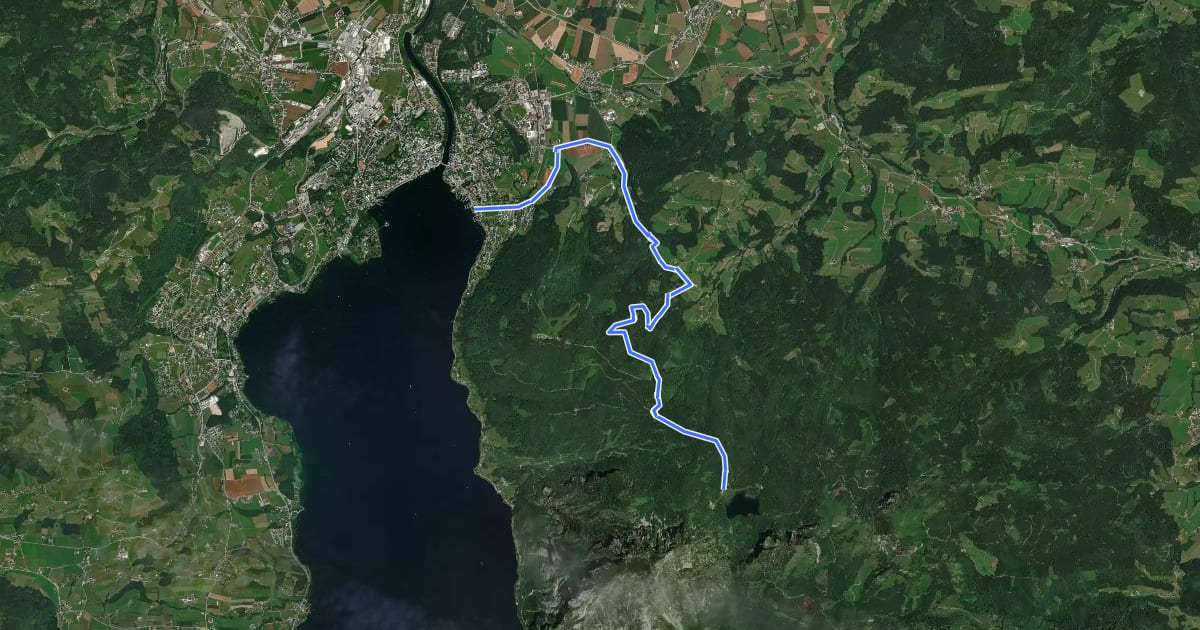 Маршрут MTB route Gmunden - Laudachsee via Franzl im Holz на спутниковом снимке