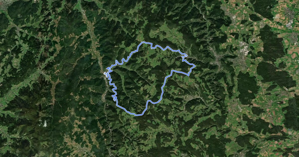 Маршрут MTB Rund um Reichenbach на спутниковом снимке