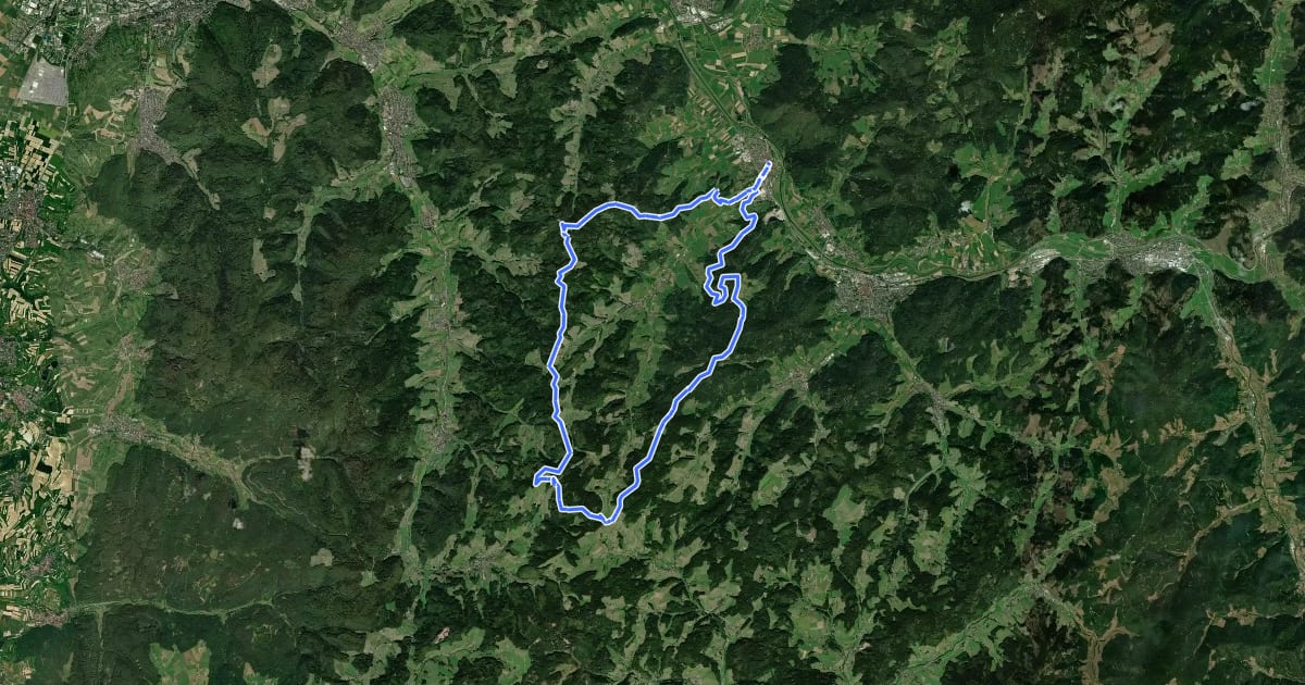 Маршрут MTB Rund ums Welschensteinacher Tal на спутниковом снимке