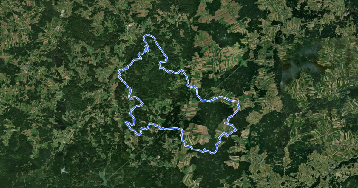 Маршрут MTB Steinpilz-Strecke на спутниковом снимке