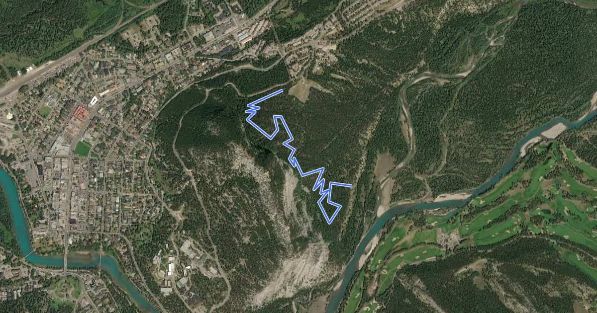 Маршрут MTB: Topp Notch на спутниковом снимке