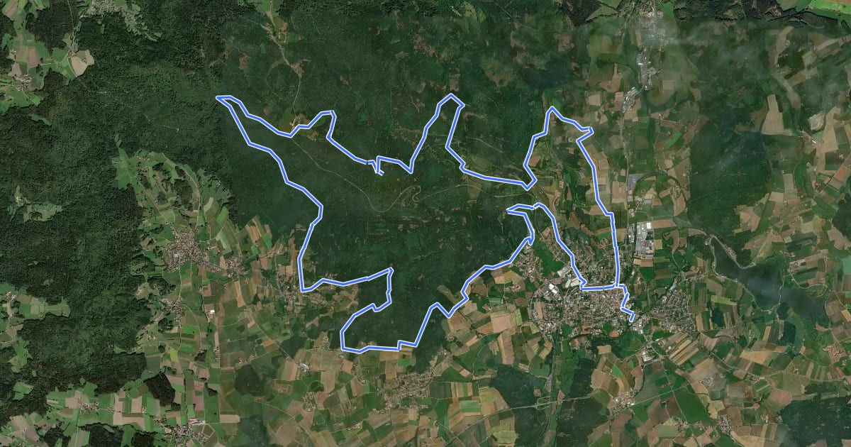 Маршрут MTB-Tour 16 Gibacht-Kirschbaumriegel-Tour на спутниковом снимке