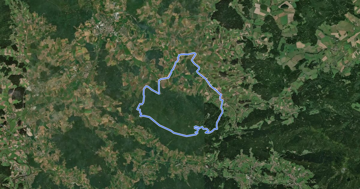 Маршрут MTB-Tour 20 Rund um den Hohenbogen на спутниковом снимке