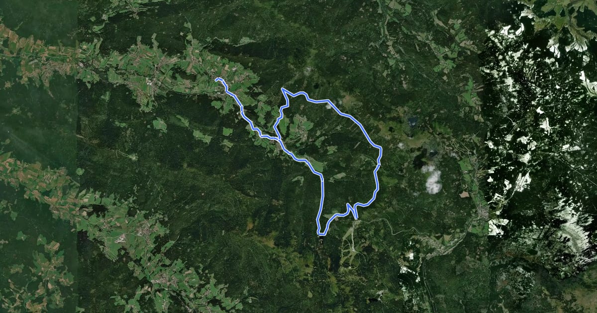 Маршрут MTB-Tour 3 Arbersee-Tour на спутниковом снимке