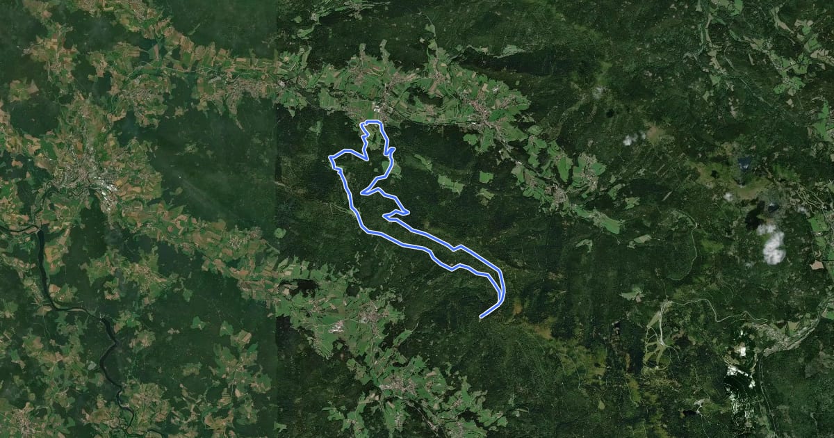Маршрут MTB-Tour 7 Mühlriegel-Schareben-Tour на спутниковом снимке