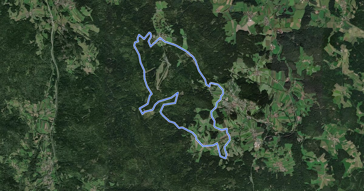 Маршрут MTB Tour Nr. 24 Um den Geißkopf на спутниковом снимке