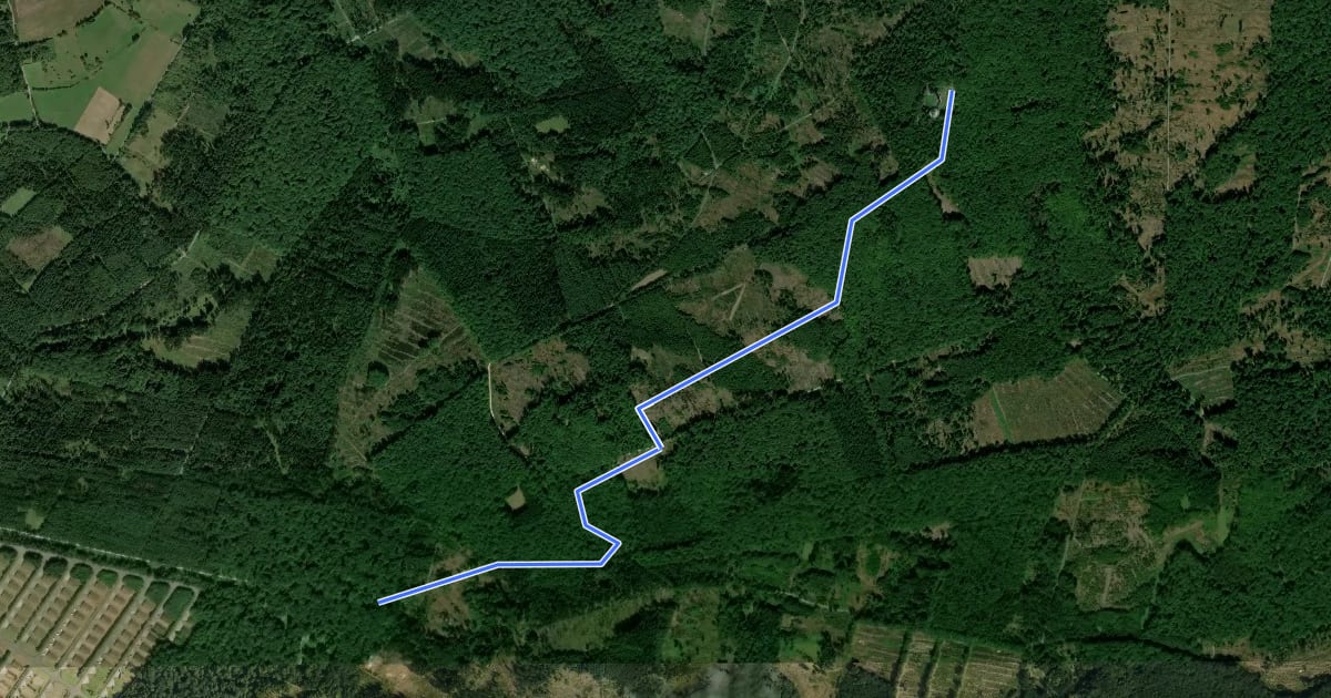Маршрут MTB Trail Winterstein Handkääs на спутниковом снимке