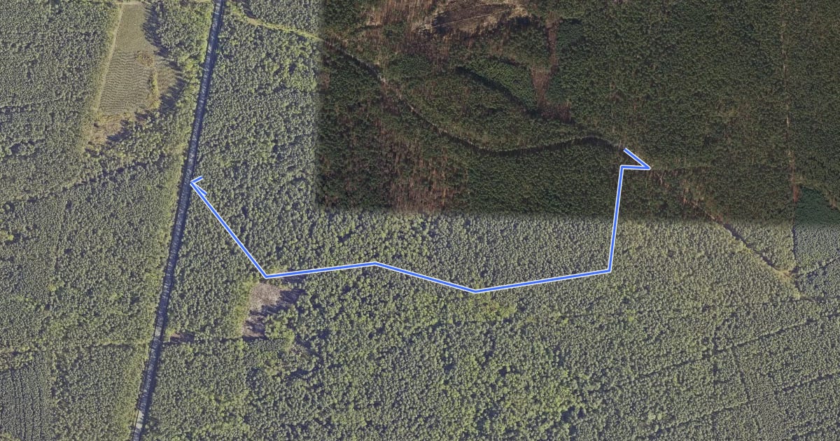 Маршрут MTB TRAiLS MiELEC - WOJSŁAW TRACK - JAGODOWY на спутниковом снимке