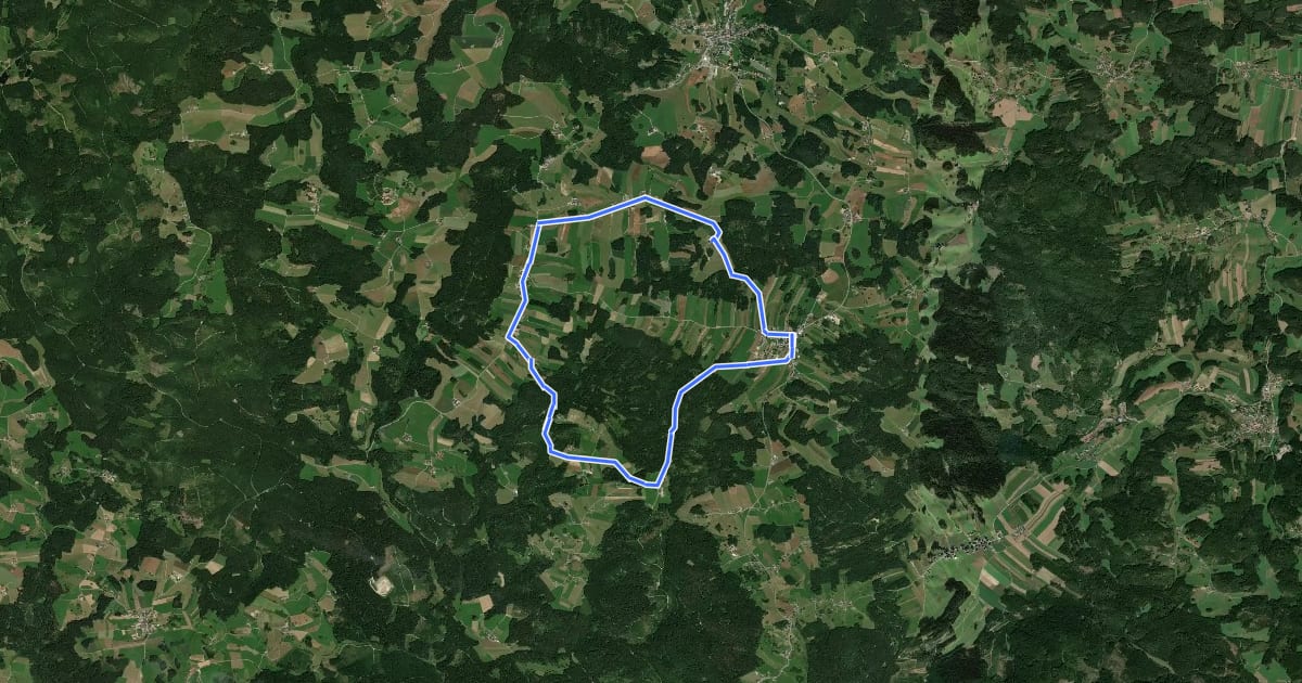 Маршрут MTB Wachtelhof-Strecke на спутниковом снимке
