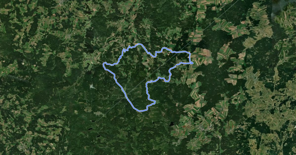 Маршрут MTB Wachtstein-Strecke на спутниковом снимке