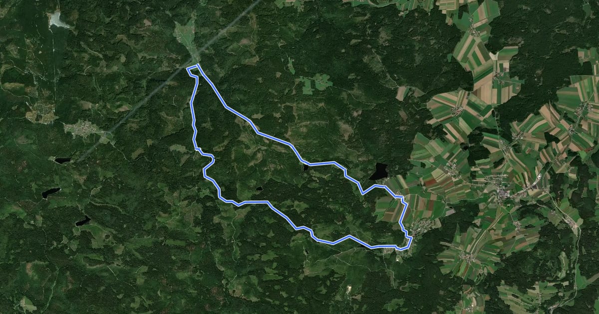 Маршрут MTB Waldbahn-Strecke на спутниковом снимке