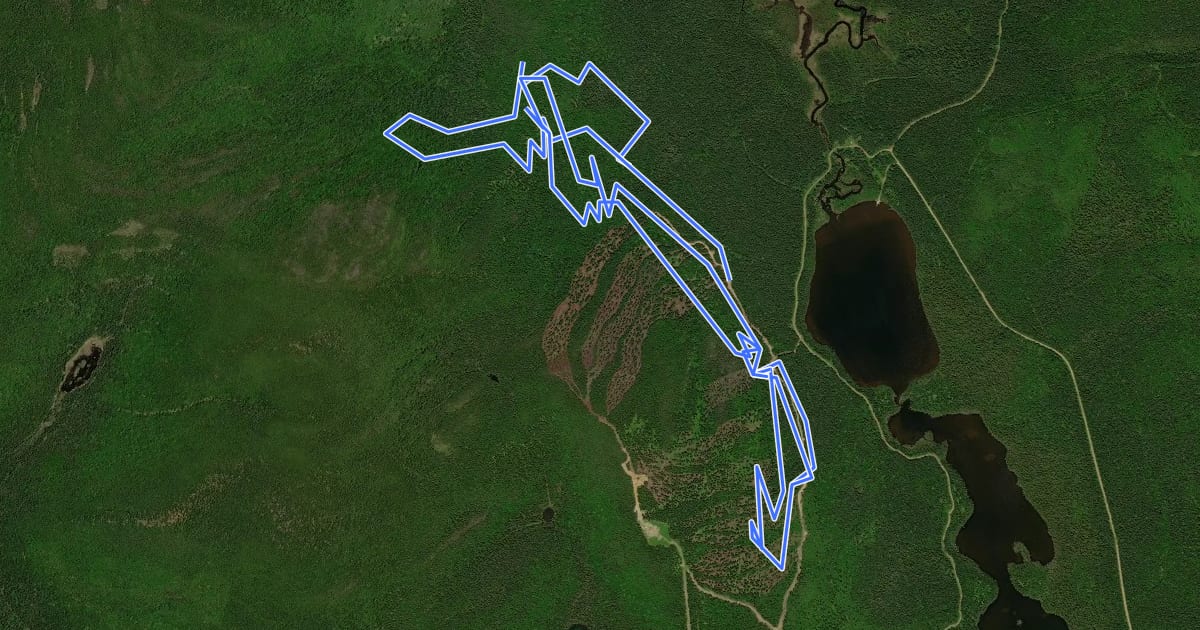 Маршрут MTB York на спутниковом снимке