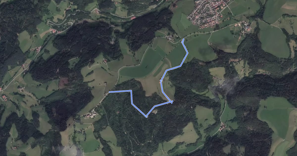 Маршрут Muckenhofweiher - Renzenhof на спутниковом снимке
