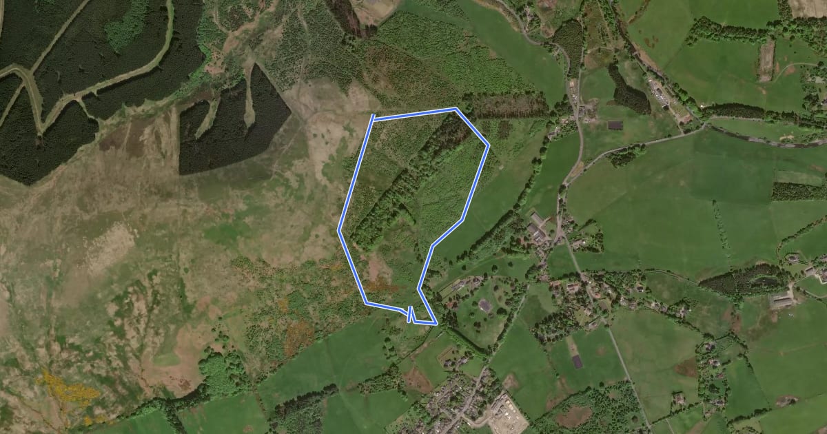 Маршрут Muckhart loop на спутниковом снимке