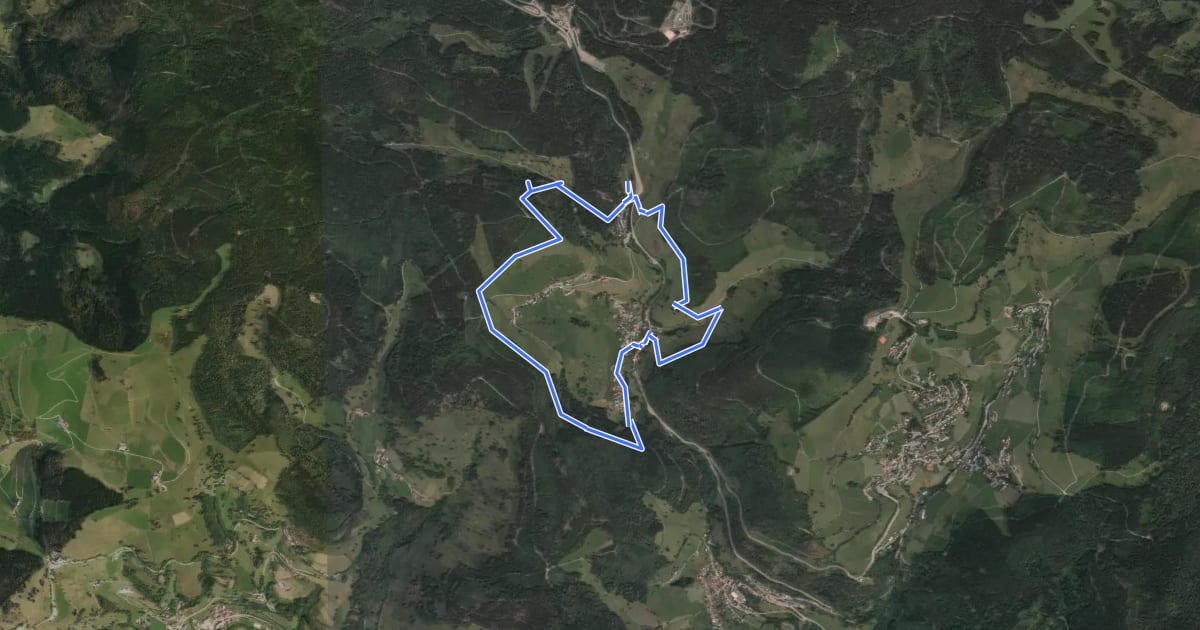 Маршрут Muggs Erlebnisrundweg Muggenbrunn на спутниковом снимке