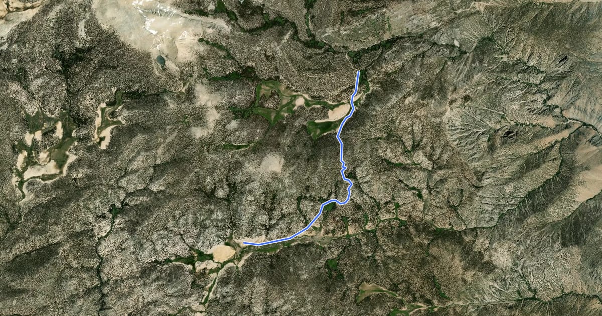 Маршрут Mulkey Pass Trail на спутниковом снимке