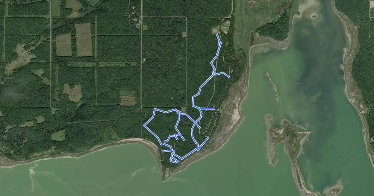 Маршрут Muriel Lake MD Park trails на спутниковом снимке