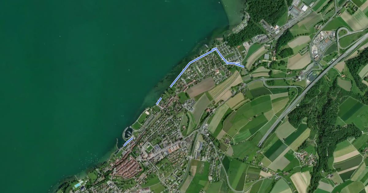 Маршрут Murten Schiffstation - Muntelier-Löwenberg на спутниковом снимке