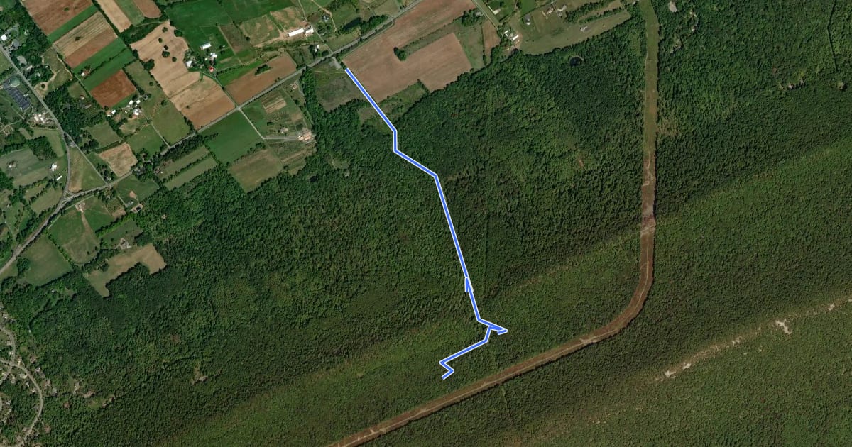 Маршрут Musser Gap Trail на спутниковом снимке