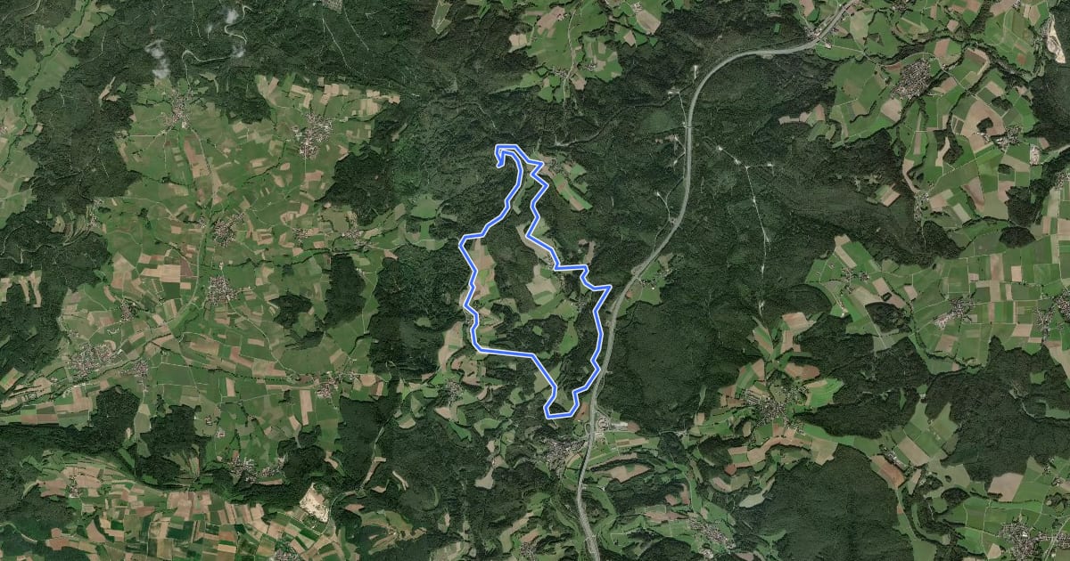 Маршрут Muthmannsreuth Rundwanderweg Nr. 5 на спутниковом снимке