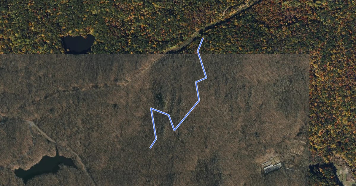 Маршрут My Favorite Trail на спутниковом снимке