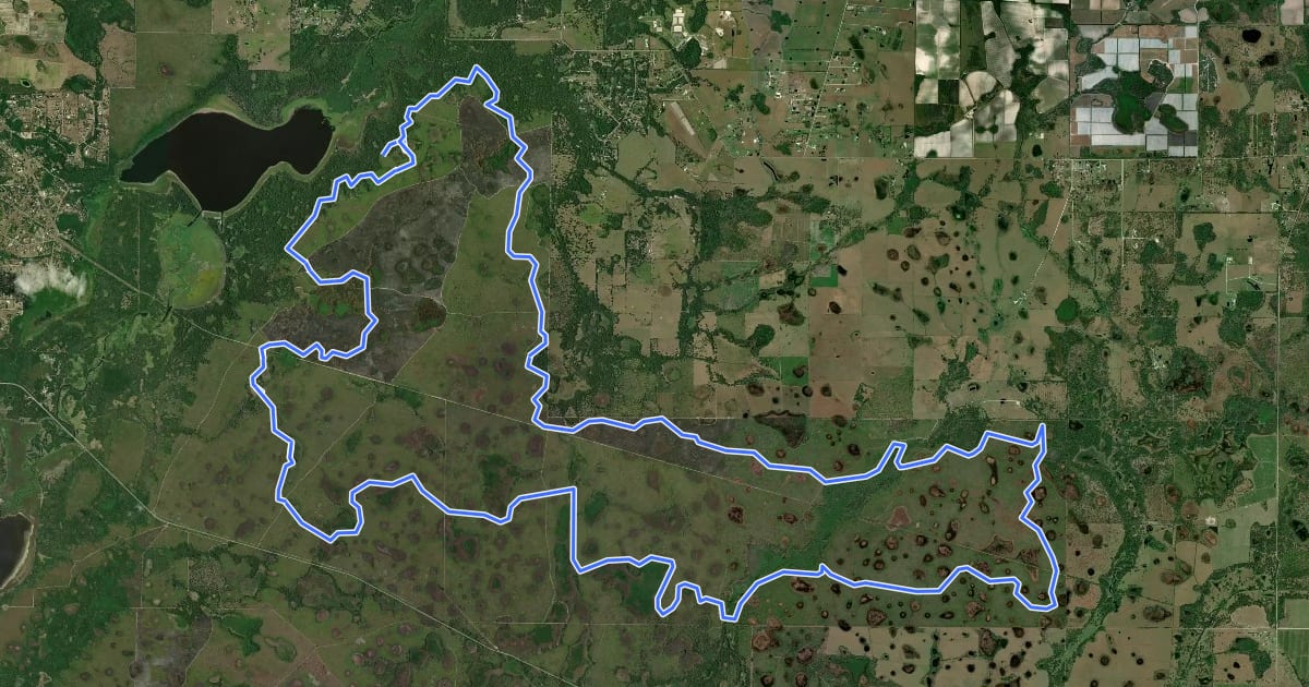 Маршрут Myakka Hiking Trail на спутниковом снимке