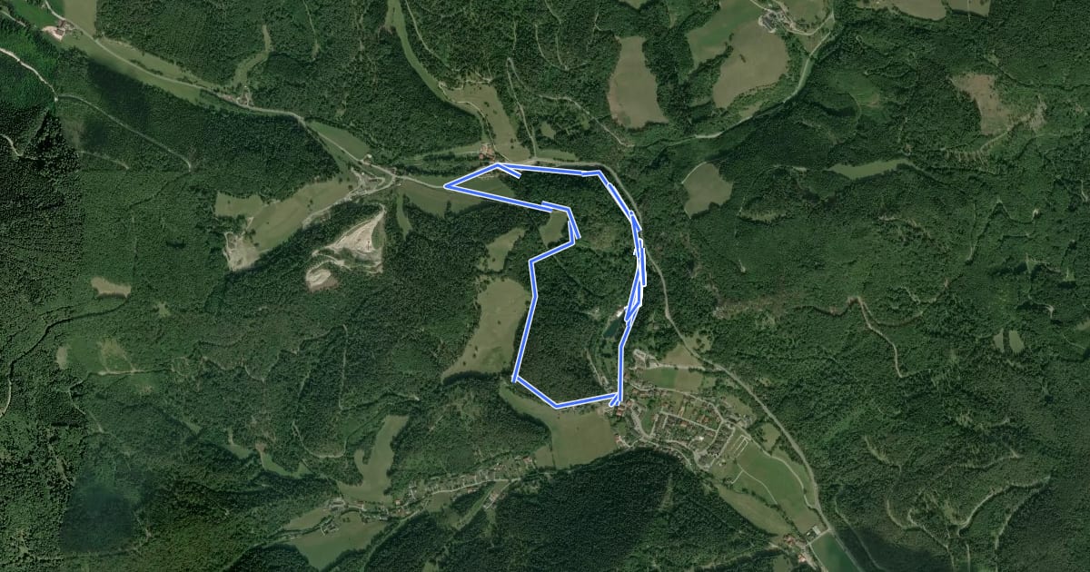 Маршрут Myrafälle - Karnerwirt - Hausstein - Wildgehege - Myrafälle на спутниковом снимке