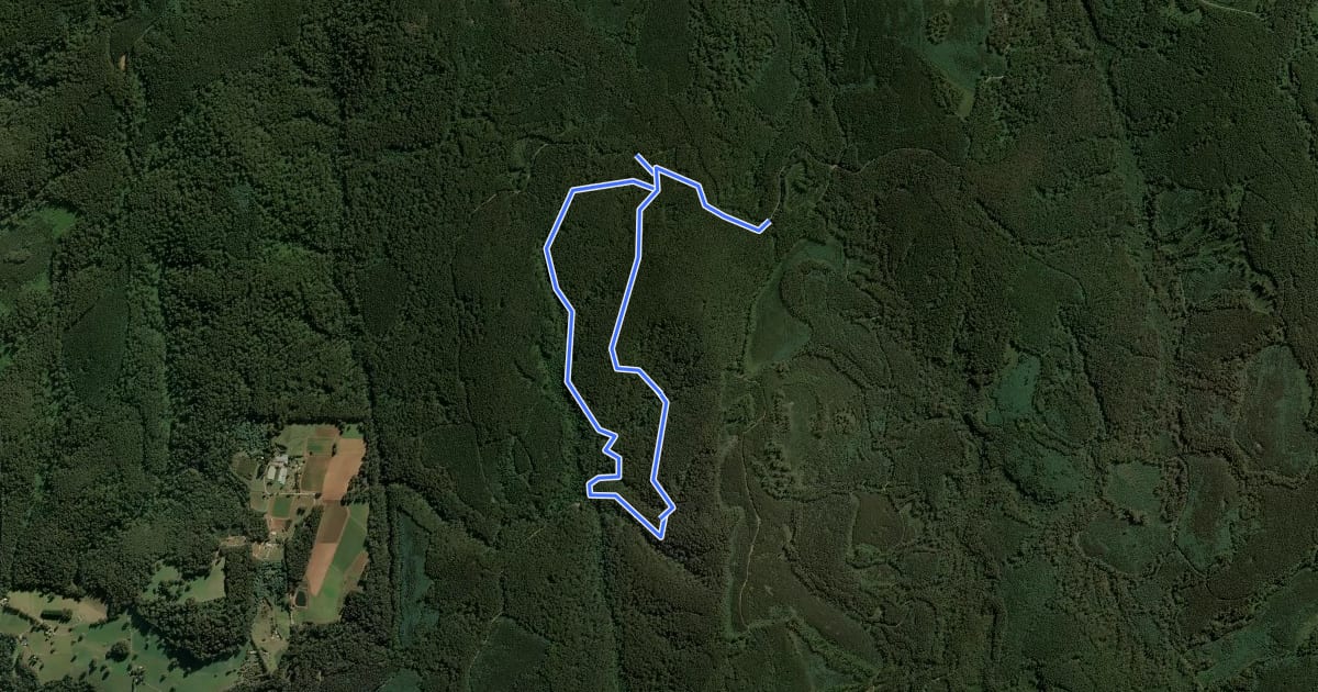 Маршрут Myrtle Gully Circuit на спутниковом снимке