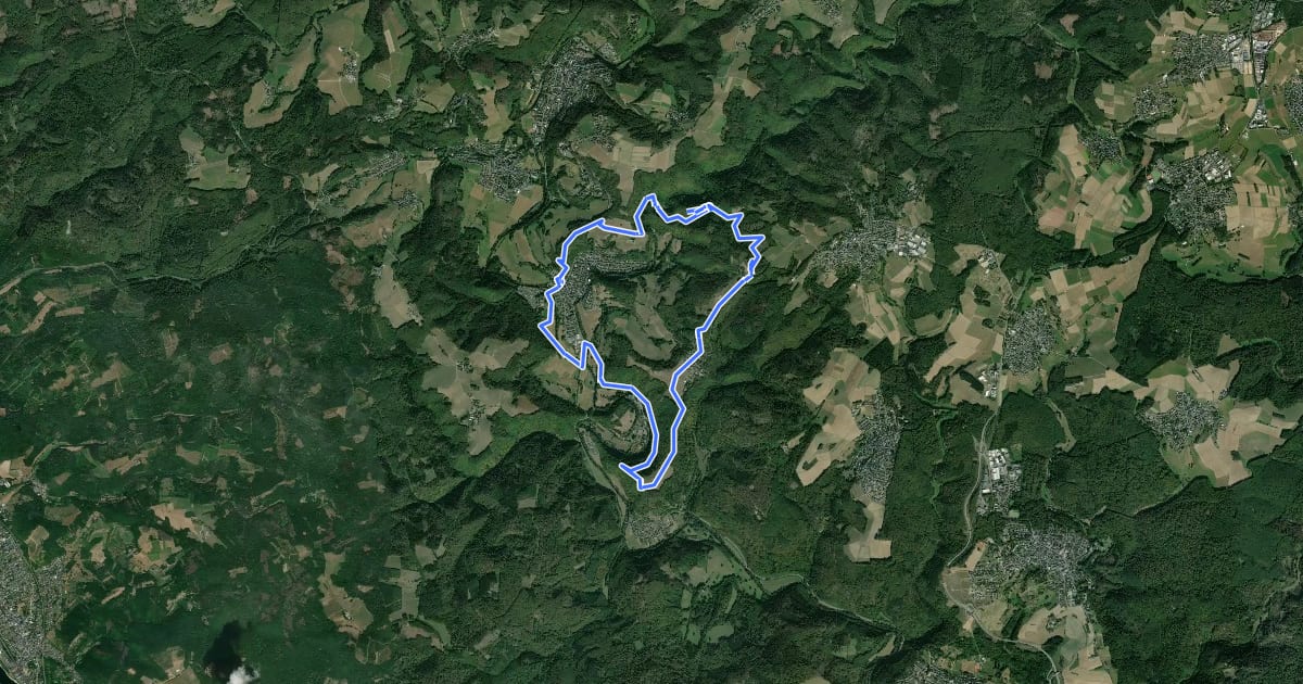 Маршрут N1 Rund um Niederbreitbach на спутниковом снимке