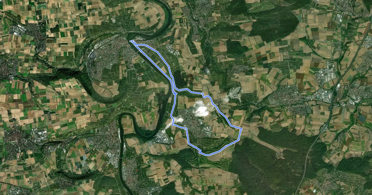 Маршрут N2 Von der Neckarburg zum Liebensteiner Schlossberg на спутниковом снимке