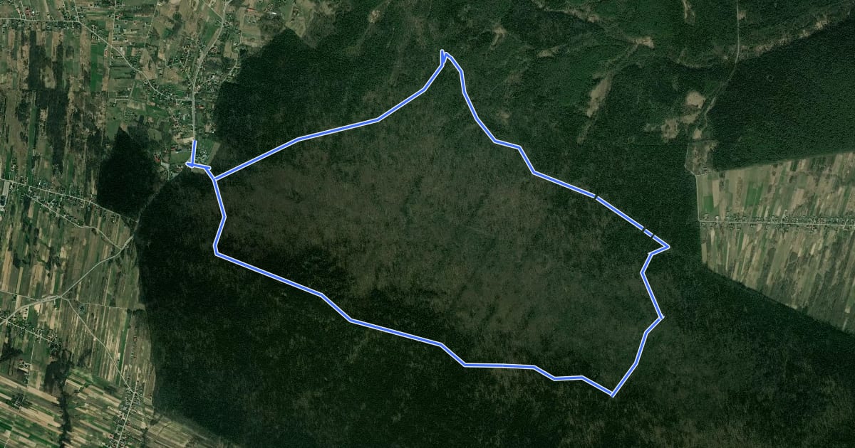 Маршрут Na Łysicę (Czas w Las) на спутниковом снимке