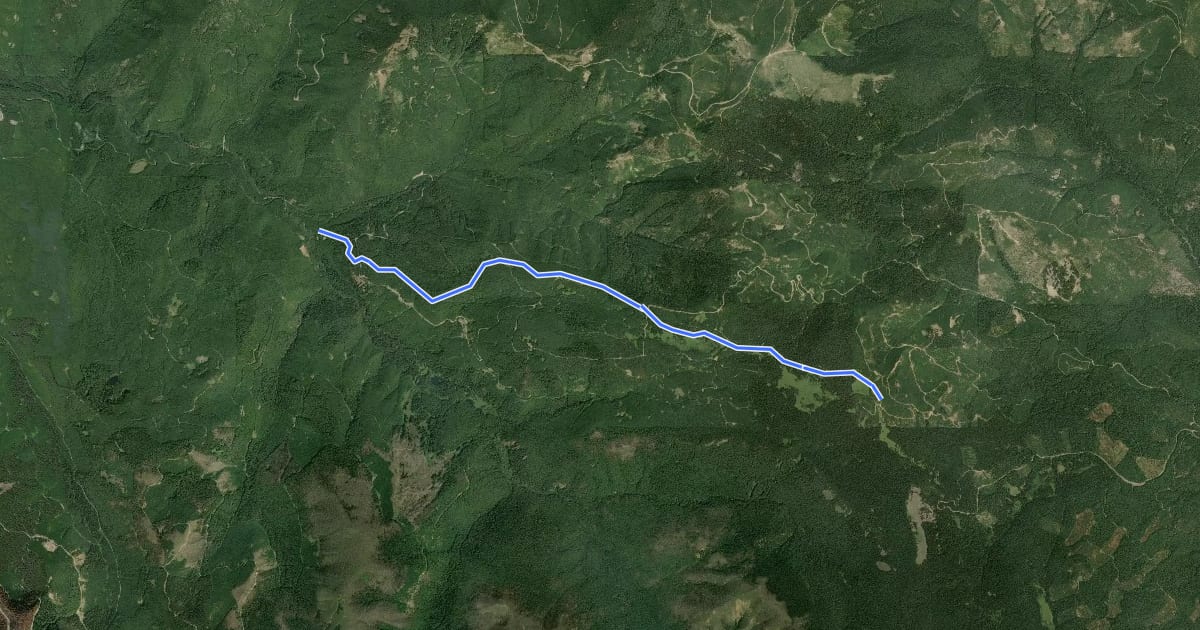 Маршрут Naches Trail на спутниковом снимке