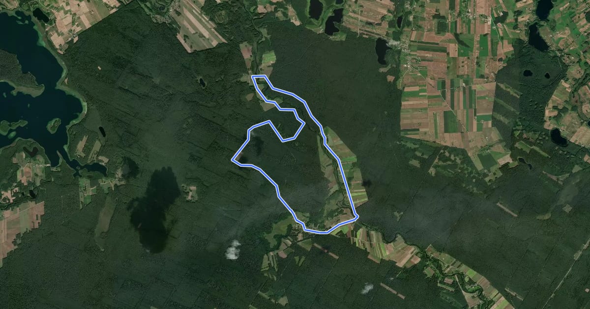 Маршрут Nad Czarną Hańczą на спутниковом снимке