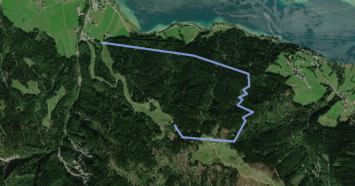Маршрут Naggl Trail на спутниковом снимке