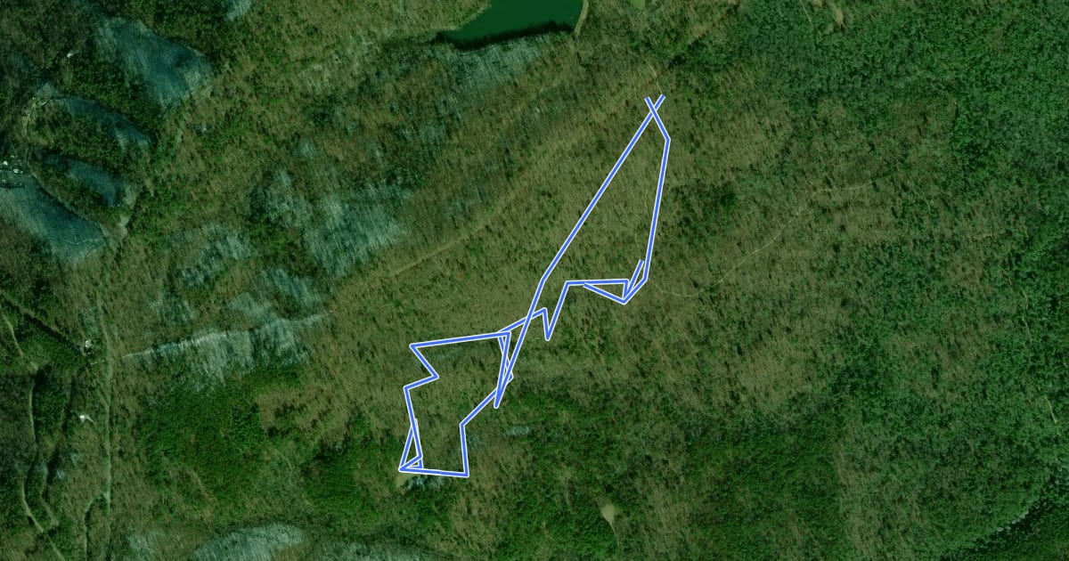 Маршрут Naked Widow Loop Trail на спутниковом снимке