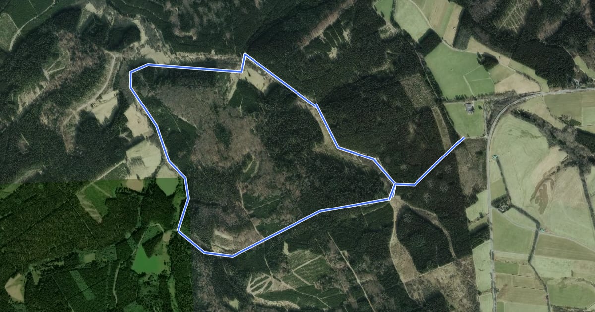 Маршрут Narzissenroute Gelb / Hollerath (Eifel) на спутниковом снимке