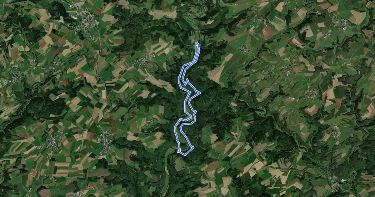 Маршрут Nat'Our Route 1 Mittleres Ourtal на спутниковом снимке