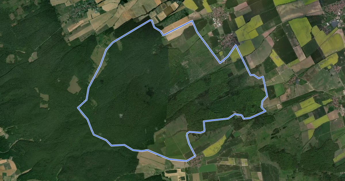 Маршрут Nationalpark Hainich Fahrrad-Rundweg на спутниковом снимке
