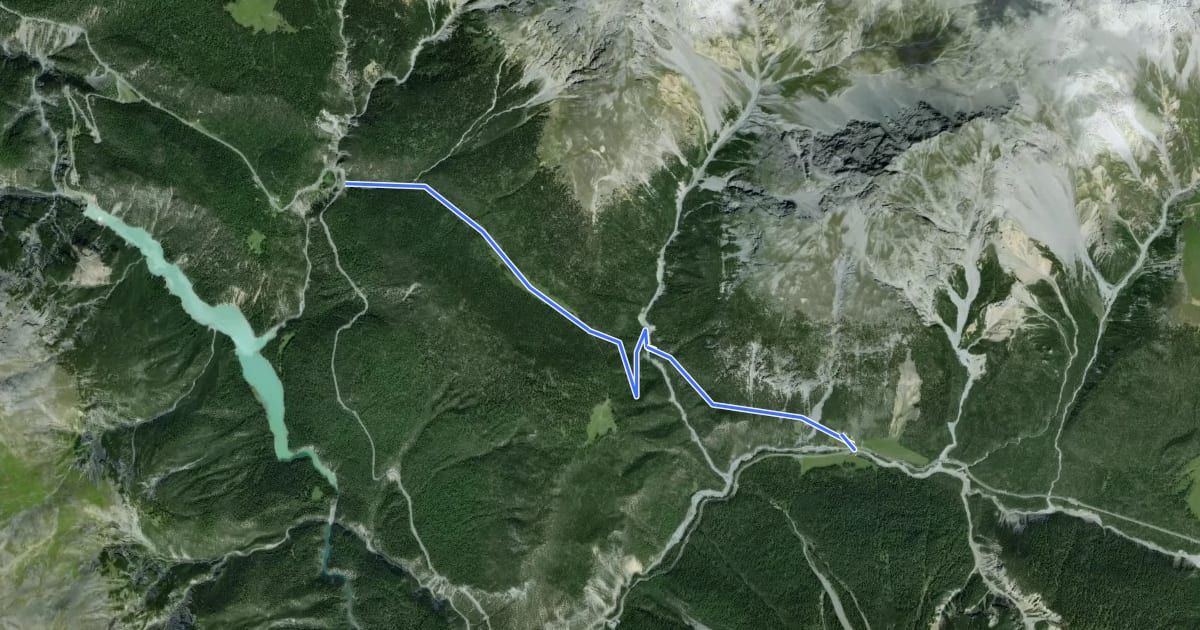 Маршрут Nationalpark Wanderroute 13 (Champlönch) на спутниковом снимке
