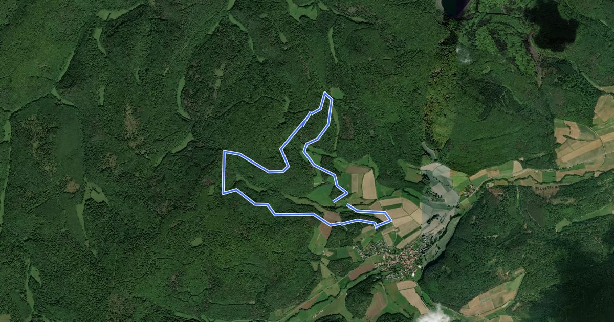 Маршрут Nationalparkrundweg Locheichen-Route на спутниковом снимке