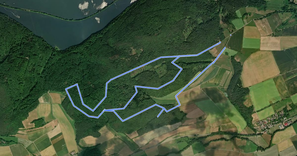 Маршрут Nationalparkrundweg Mehler-Holz-Route на спутниковом снимке
