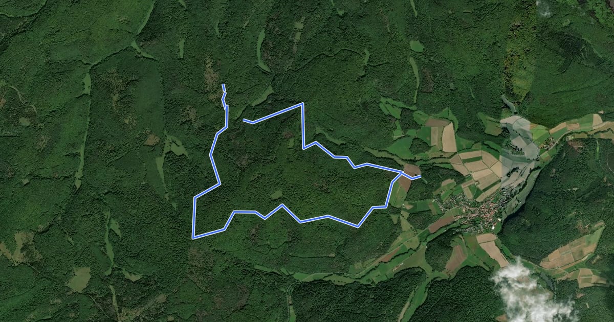 Маршрут Nationalparkrundweg Traddelkopf-Route на спутниковом снимке